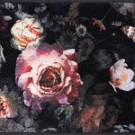 Night-Roses_50x75cm